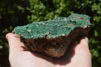 Natural Botryoidal Drusy Malachite on Matrix Specimens x 3 From Congo - TopRock