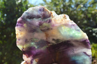 Polished Semi Translucent Watermelon Fluorite Slices x 2 From Uis, Namibia - TopRock