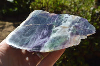 Polished Semi Translucent Watermelon Fluorite Slices x 2 From Uis, Namibia - TopRock