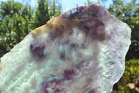 Polished Semi Translucent Watermelon Fluorite Slices x 2 From Uis, Namibia - TopRock