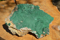 Natural XL Drusy Botryoidal Malachite Specimen x 1 From Tenke Fungumure, Congo - TopRock