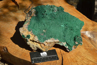 Natural XL Drusy Botryoidal Malachite Specimen x 1 From Tenke Fungumure, Congo - TopRock