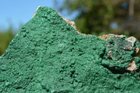 Natural XL Drusy Botryoidal Malachite Specimen x 1 From Tenke Fungumure, Congo - TopRock