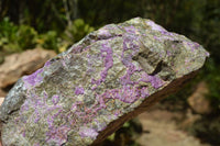 Natural Stichtite (Atlantisite) With Green Serpentine Specimens x 4 From Barberton, South Africa - TopRock