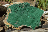 Natural XL Drusy Botryoidal Malachite Specimen x 1 From Tenke Fungumure, Congo - TopRock