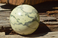 Polished Leopard Stone Spheres x 2 From Zimbabwe - TopRock