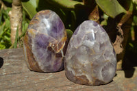 Polished Flower Chevron Amethyst Standing Free Forms x 6 From Madagascar - TopRock