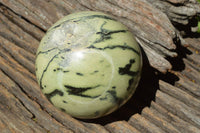 Polished Leopard Stone Spheres x 2 From Zimbabwe - TopRock