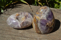 Polished Flower Chevron Amethyst Standing Free Forms x 6 From Madagascar - TopRock