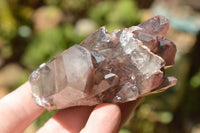 Natural Red Hematoid Quartz Crystals/Clusters x 14 From Zimbabwe - TopRock