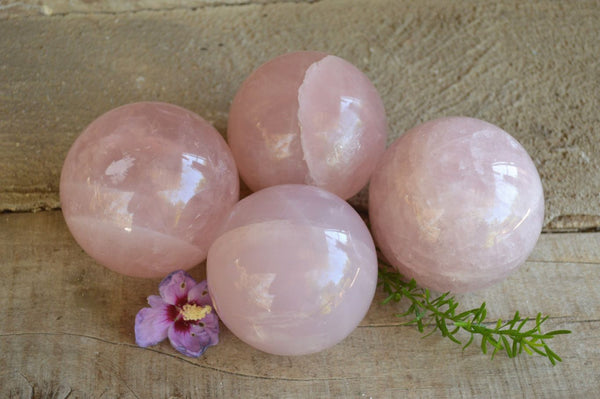 Polished Selected Variable Gemmy Pink Rose Quartz Spheres x 4 From Ambatondrazaka, Madagascar - TopRock