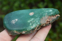 Polished Mtorolite Emerald Chrome Chrysoprase Plates x 5 From Zimbabwe - TopRock