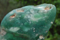 Polished Mtorolite Emerald Chrome Chrysoprase Plates x 5 From Zimbabwe - TopRock