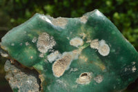 Polished Mtorolite Emerald Chrome Chrysoprase Plates x 5 From Zimbabwe - TopRock