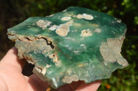 Polished Mtorolite Emerald Chrome Chrysoprase Plates x 5 From Zimbabwe - TopRock