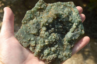 Polished Mtorolite Emerald Chrome Chrysoprase Plates x 5 From Zimbabwe - TopRock