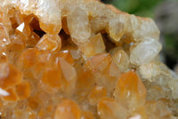 Natural Dark Yellow Limonite Quartz Cluster x 1 From Mwinilunga, Zambia - TopRock