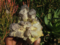 Polished Red Hematoid Quartz Clusters x 6 From Karoi, Zimbabwe - TopRock