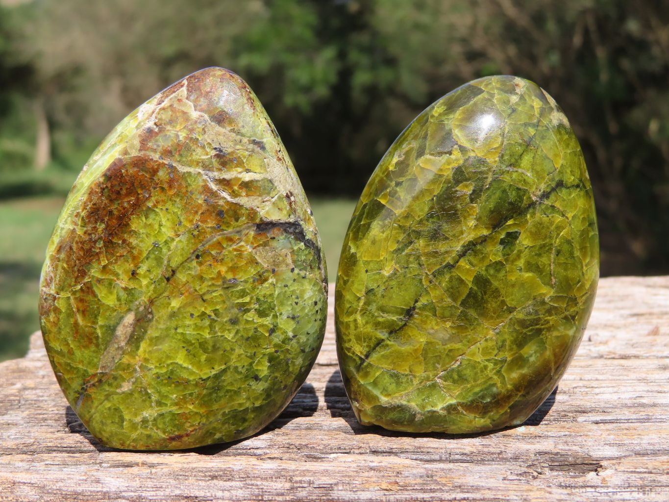 Polished Green Opal Standing Free Form x 12 From Antsirabe