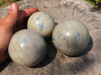 Polished Blue Spotted Spinel Spheres x 3 From Ambatofinadrahana, Madagascar - TopRock