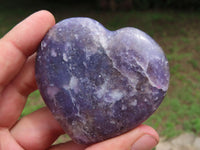 Polished Large Lepidolite Crystal Hearts with Rubellite in some  x 6 From Madagascar - TopRock