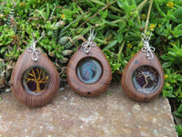 Polished Unique & Rare Zebra Wood Fine Grain & Purpurite Pendant With Tree Of Life Design - sold per piece From South Africa - TopRock