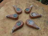 Polished Zebra Wood Pendant With Purpurite Centre & Tree Of Life - sold per piece From South Africa - TopRock