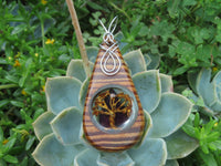 Polished Zebra Wood Pendant With Purpurite Centre & Tree Of Life - sold per piece From South Africa - TopRock