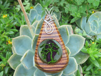 Polished Zebra Wood Pendant With Purpurite Centre & Tree Of Life - sold per piece From South Africa - TopRock