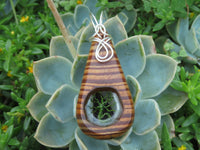 Polished Zebra Wood Pendant With Purpurite Centre & Tree Of Life - sold per piece From South Africa - TopRock