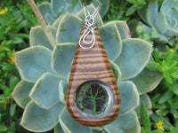 Polished Zebra Wood Pendant With Purpurite Centre & Tree Of Life - sold per piece From South Africa - TopRock