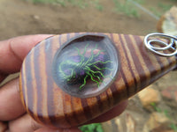 Polished Zebra Wood Pendant With Purpurite Centre & Tree Of Life - sold per piece From South Africa - TopRock