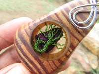 Polished Zebra Wood Pendant With Purpurite Centre & Tree Of Life - sold per piece From South Africa - TopRock