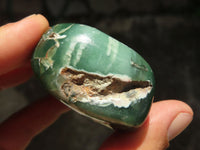 Polished Mtorolite Emerald Chrysoprase Free Forms  x 12 From Mutorashanga, Zimbabwe - TopRock