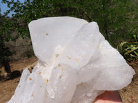 Natural Extra Large Icey Etched Floater Quartz Cluster x 1 from Madagascar - TopRock