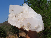 Natural Extra Large Icey Etched Floater Quartz Cluster x 1 from Madagascar - TopRock