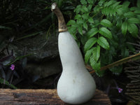 Polished Leopard Stone & Marble Butternut Carvings x 4 From Zimbabwe - TopRock