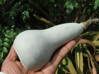 Polished Leopard Stone & Marble Butternut Carvings x 4 From Zimbabwe - TopRock