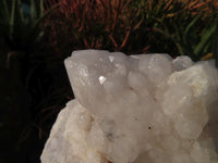 Natural Quartz Crystal Clusters x 5 From Madagascar - TopRock