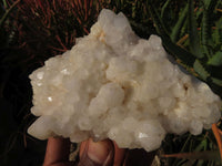 Natural Quartz Crystal Clusters x 5 From Madagascar - TopRock