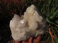 Natural Quartz Crystal Clusters x 5 From Madagascar - TopRock