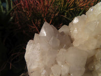 Natural Quartz Crystal Clusters x 5 From Madagascar - TopRock