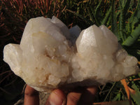 Natural Quartz Crystal Clusters x 5 From Madagascar - TopRock