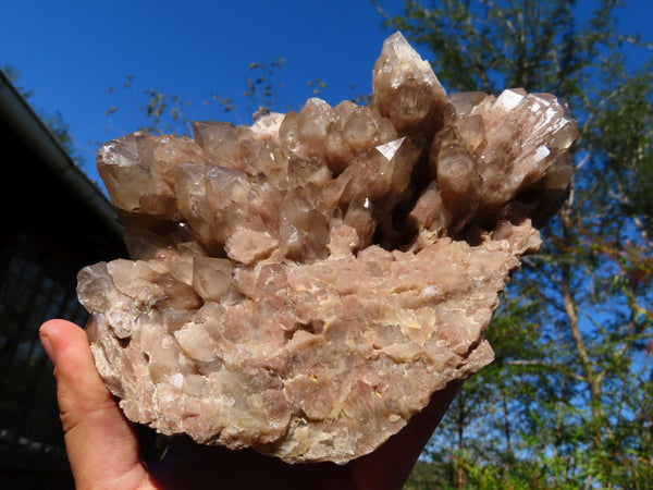 Natural Smokey Phantom Cluster x 1 From Lwena, Congo - TopRock