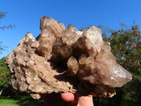 Natural Smokey Phantom Cluster x 1 From Lwena, Congo - TopRock