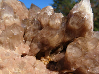 Natural Smokey Phantom Cluster x 1 From Lwena, Congo - TopRock