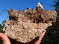 Natural Smokey Phantom Cluster x 1 From Lwena, Congo - TopRock