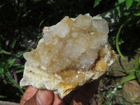 Natural Drusy Coated Unique Spirit Quartz Clusters x 3 From Boekenhouthoek, South Africa - TopRock