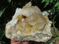 Natural Drusy Coated Unique Spirit Quartz Clusters x 3 From Boekenhouthoek, South Africa - TopRock