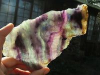 Polished Semi Translucent Watermelon Fluorite Slices x 2 From Namibia - TopRock